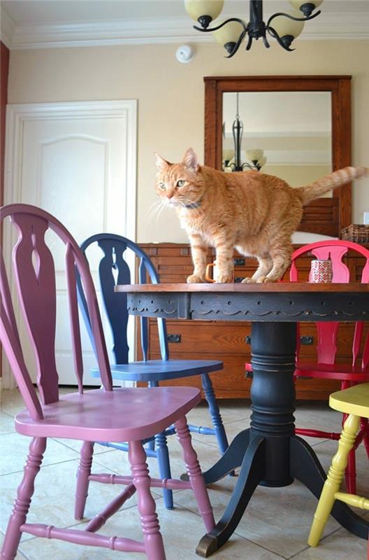 värikäs keittiö värilliset tuolit pyöreä ruokapöytä kissa