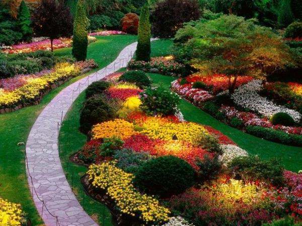 värikkäitä kasveja puutarhan koristeluun