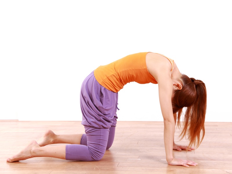 Marjariasana (Bidalasana) eller Cat Pose Yoga
