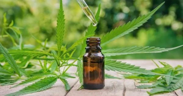 Levitä CBD -kannabidioliöljyä