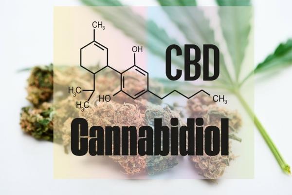 CBD -kannabidiolin edut