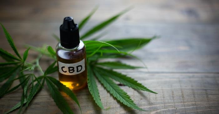 cbd -hamppuöljyn vaikutukset ja käyttöalueet