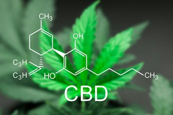 cbd -vaikutus kipua vastaan