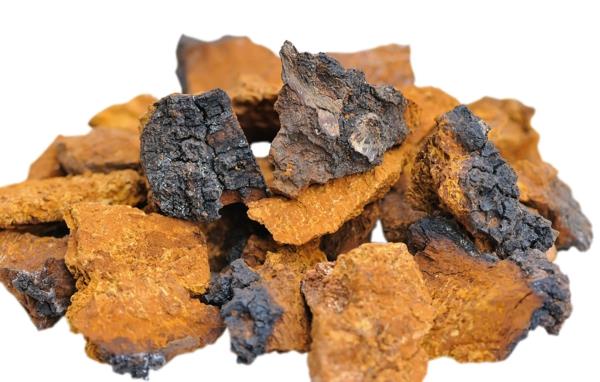 chaga -teesienen paloja