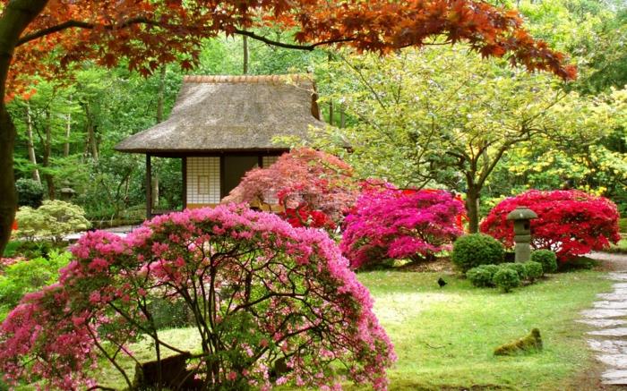 kiinalainen puutarha kukkivat kasvit puutarhavaja paviljonki puisto