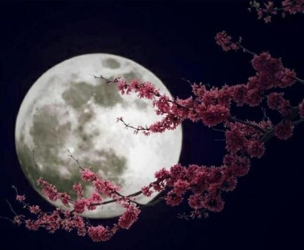 kiinalainen kuukalenteri kuun vaiheet