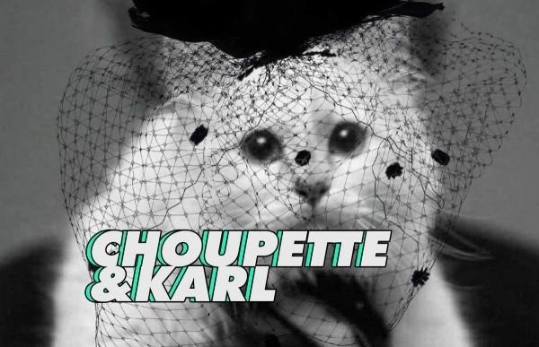 choupette cat by Karl Lagerfeld muotitrendit