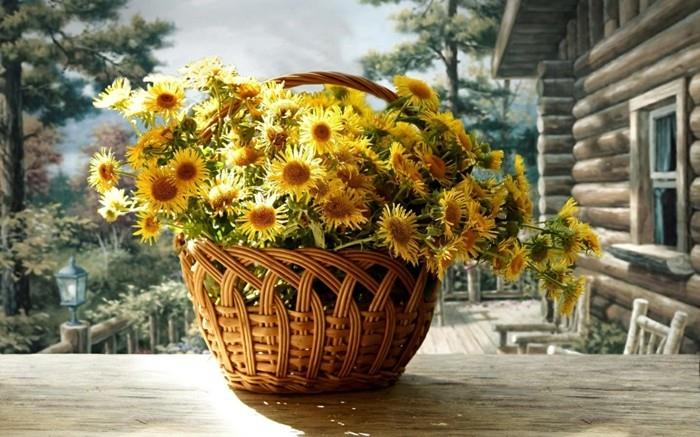 chrisanthemums koristeena
