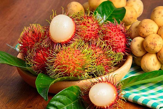 Rambutan under graviditet 2