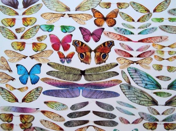 tietokoneen osat taide perhoset sudenkorennot lentävät