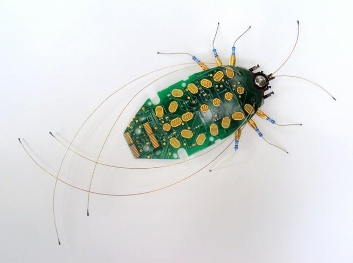 tietokoneiden osat kierrätyskuoriaiset hyönteiset ympäristöystävällinen taide