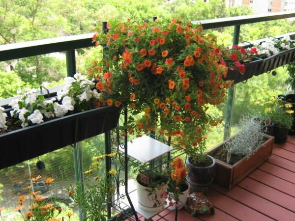 viileä parveke istutusideoita laatikko kukat oranssi