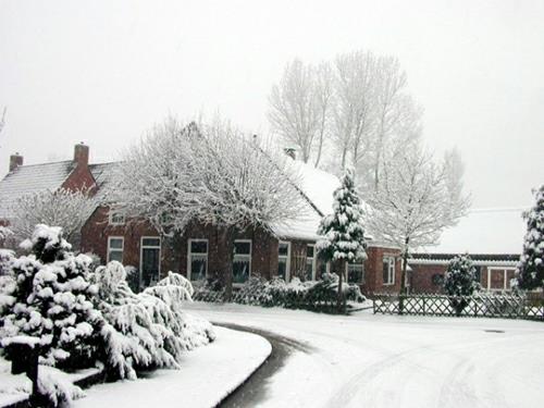 viileä puutarhan suunnitteluvinkit talon lumi