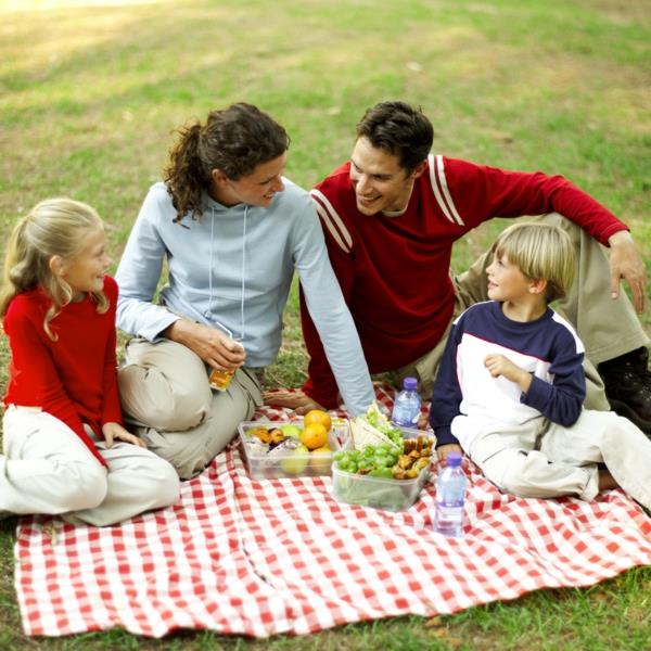 piknik ulkona ulkona perhe äiti poika tytär isä