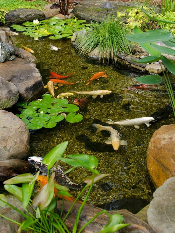 viileä vesi puutarha ideoita rottinki kala vihreä punainen