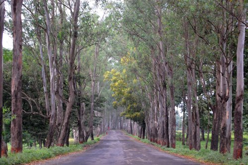 dadra-og-nagar-haveli-festivaler