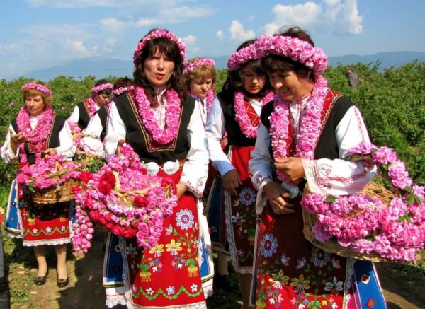 damask ruusu rosental festivaali bulgaria