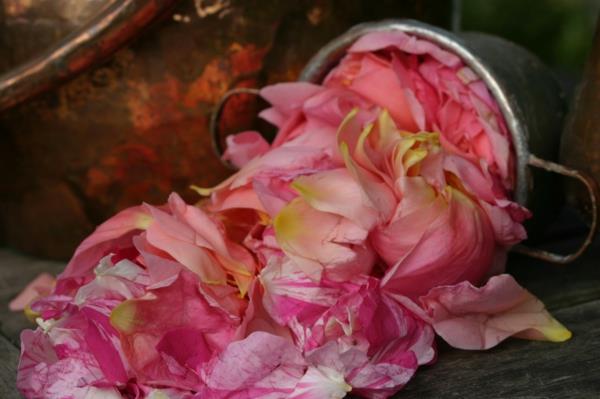 damaski ruusu arvokas ruusuöljy kosmetiikka