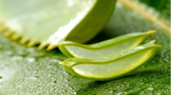 poistaa venytysmerkit aloe vera