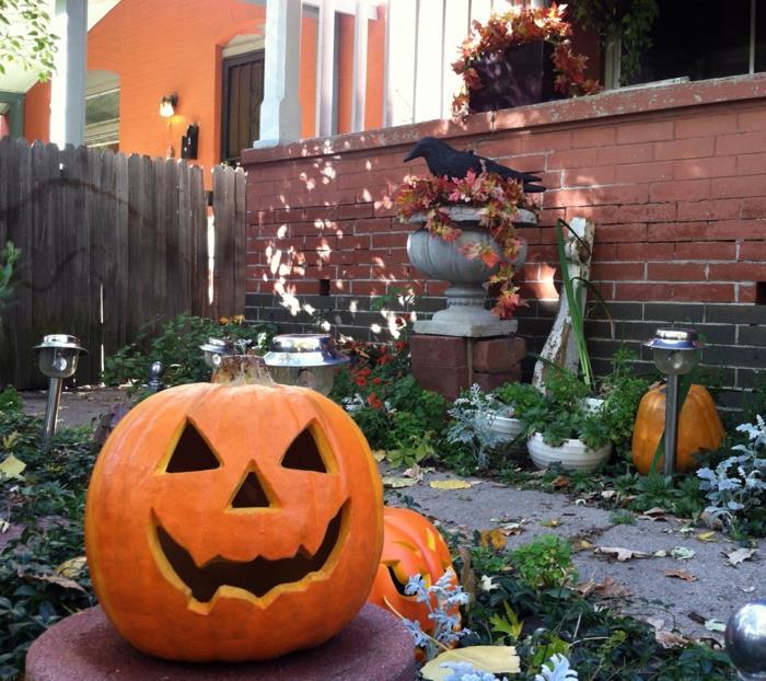 koristelu halloween ideoita kurpitsa puutarha