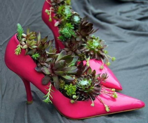 koriste-ideoita-puutarhaan-vaaleanpunaisia-naisten-kenkiä-rasvakasveja