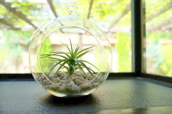 deco temppuja pallo lasi kiviä koti ideoita vihreitä kappaleita