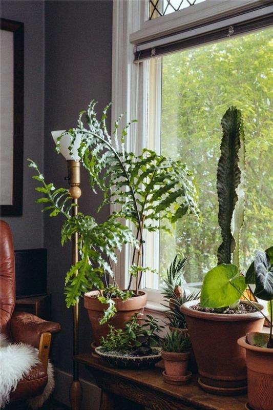 Sisustusideoita ikkunalauta kasveja maalaismainen nahka nojatuoli