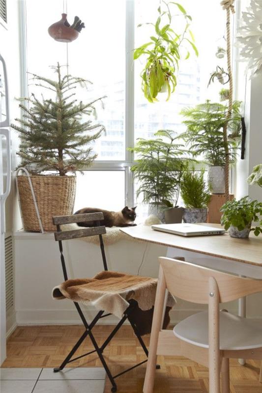 deco -ideoita ikkunalaudan kasveja koti -ideoita taitettavia huonekaluja
