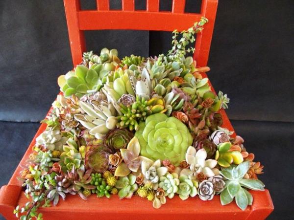 deco -ideoita puutarha oranssi puinen tuoli kaktuslajit
