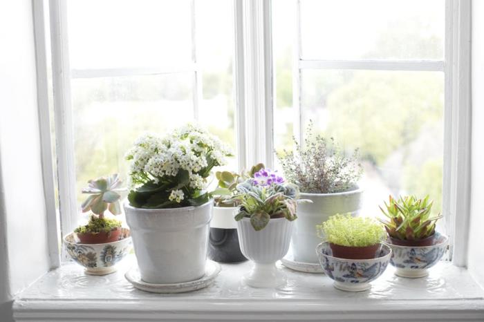 sisustusvinkit ikkunalaudan kasvit sisustusideoita kotiideoita