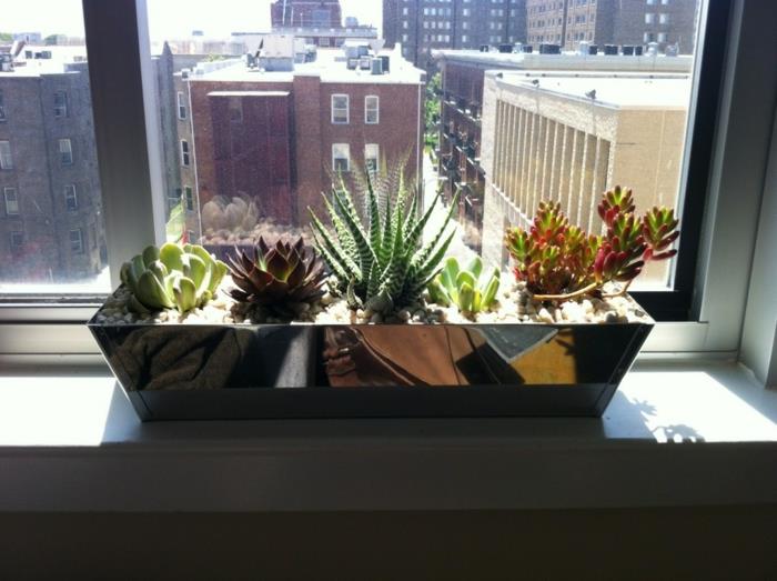 sisustusvinkkejä ikkunalaudan kasveja kaktuksia sisustusideoita