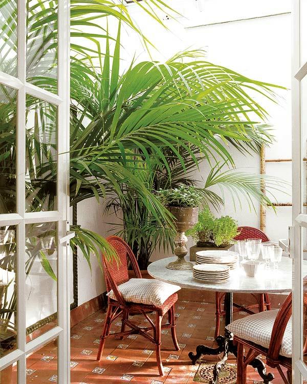 perustaa parveke pöytä astiat tuolit kudotut trooppiset kasvit