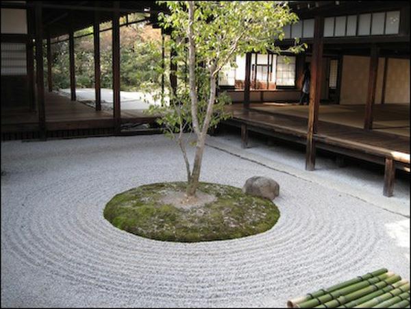 japanilainen puutarhaympyrä kivet puu
