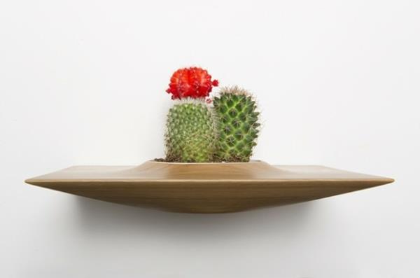 suunnittelija ideoita kasvi kontti domenic fiorello kaktukset