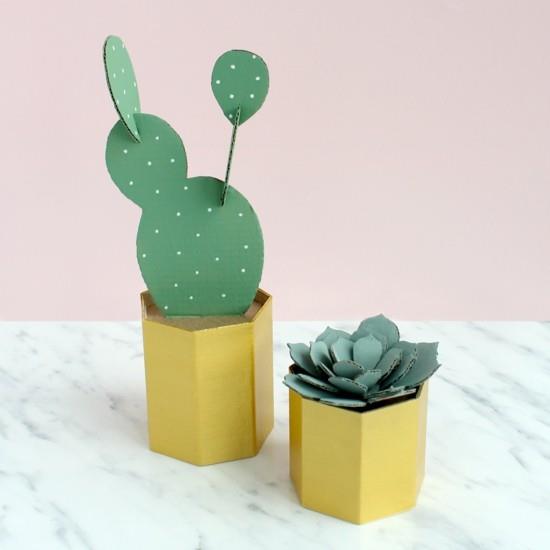 DIY idea kaktus koristelu pahvista