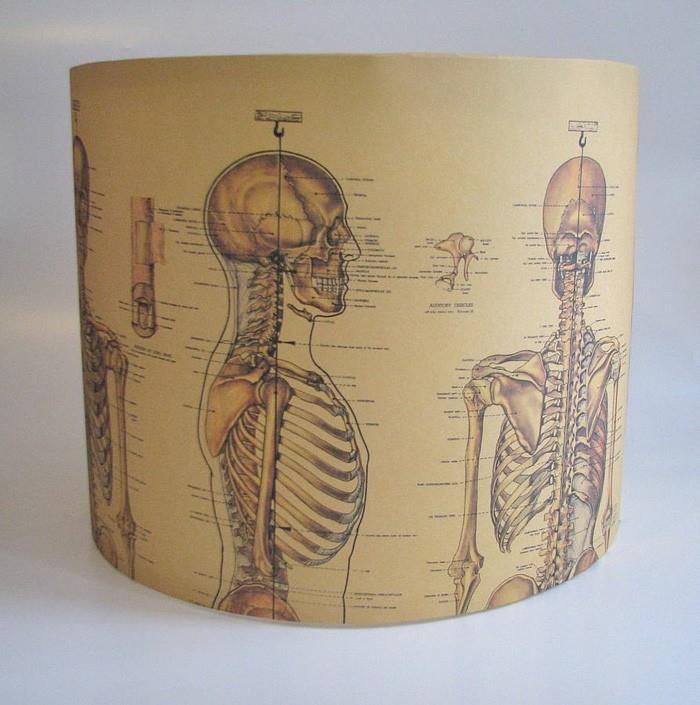 diy -lampunvarjostimen dias -anatomia