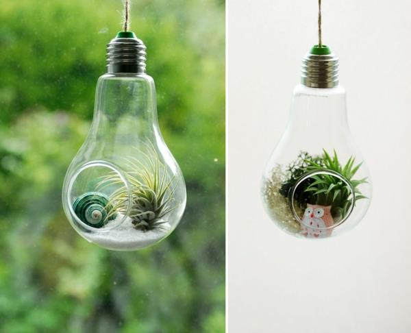 DIY projektit vanhat hehkulamput tinkering terrarium roikkuu