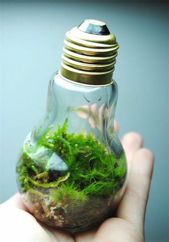 DIY -projektit vanhat hehkulamput tinkeröivät ideoita terrarium sammal