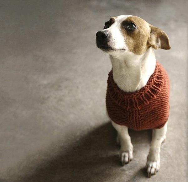 DIY -projektit neulominen neulepuserot itse tarvikkeet koirat