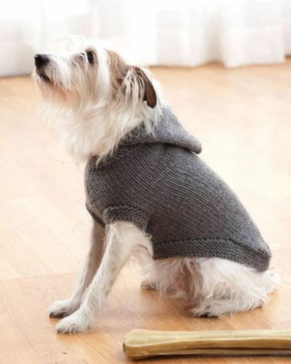 DIY -projektit neulo koiran villapaitoja yksivärisenä harmaana