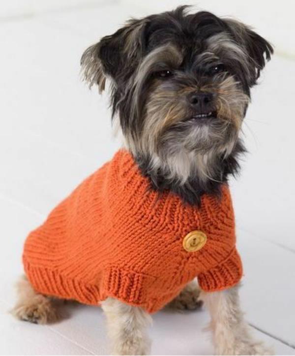 DIY -projektit koiran villapaita neulottu oranssi