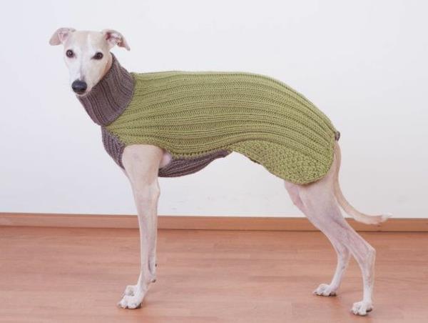 DIY -projektit neulo koiran villapaitoja kahdessa värissä