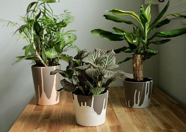 DIY -projektit istuttavat ruukkuja keraamisia