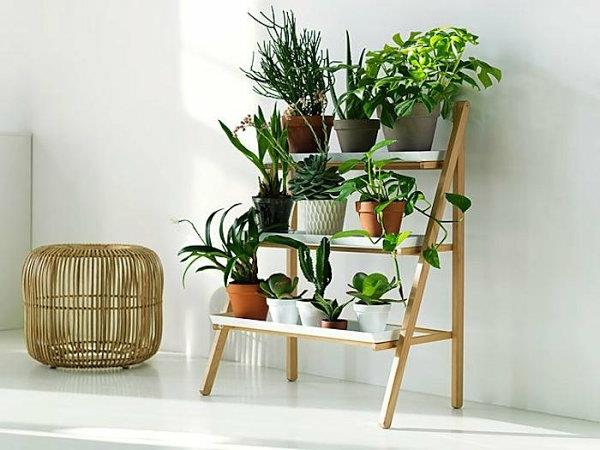 diy -projektit kasvi seistä pieniä portaita
