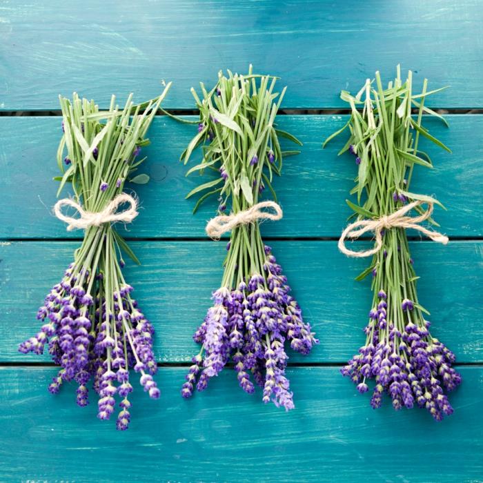 tuoksu-ja-kauneus-kesä-tuoksu-laventeli