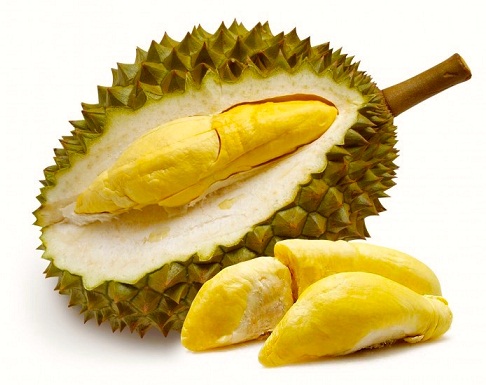 Durian under graviditeten -2