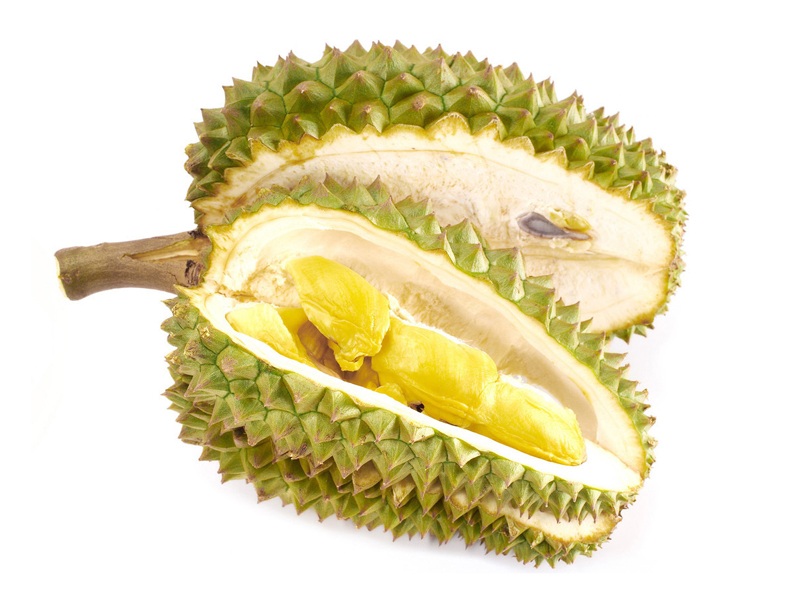 Durian under graviditeten