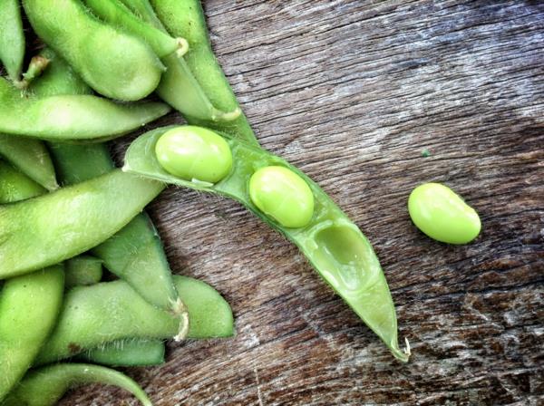 edamame pavut palkokasvit