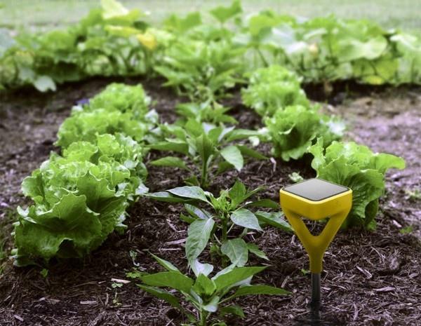 edyn älykäs puutarhajärjestelmä uudet puutarhatrendit