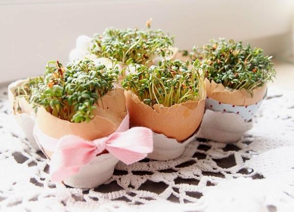 munankuorten maljakot ituja pääsiäinen koristelu kevät koristelu näpertely ideoita